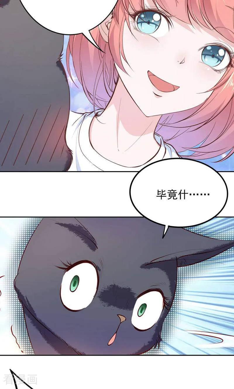 第79话-以猫的名义爱上你-咪咕数媒（第6张）