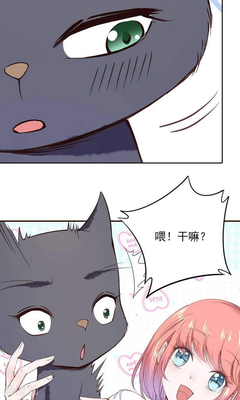 第79话-以猫的名义爱上你-咪咕数媒（第2张）