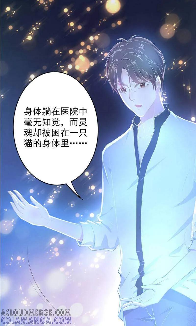 第80话-以猫的名义爱上你-咪咕数媒（第3张）