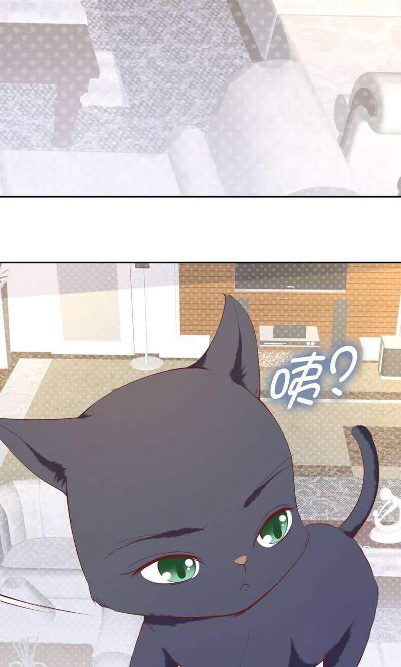 第83话-以猫的名义爱上你-咪咕数媒（第2张）