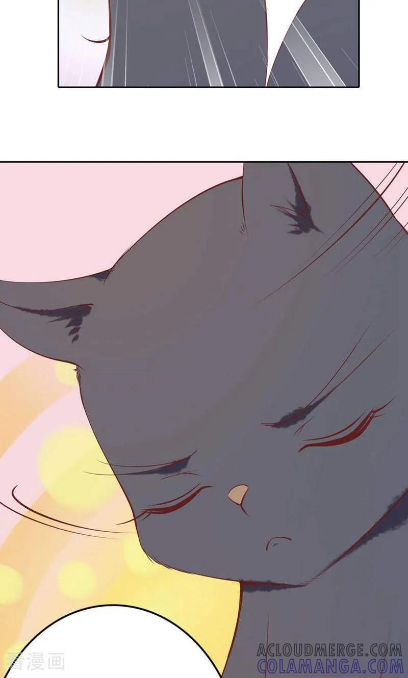 第83话-以猫的名义爱上你-咪咕数媒（第9张）