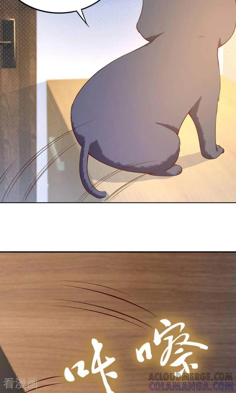 第84话-以猫的名义爱上你-咪咕数媒（第13张）