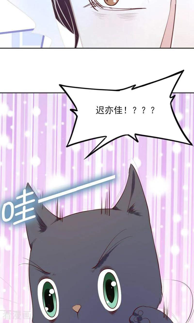 第84话-以猫的名义爱上你-咪咕数媒（第6张）