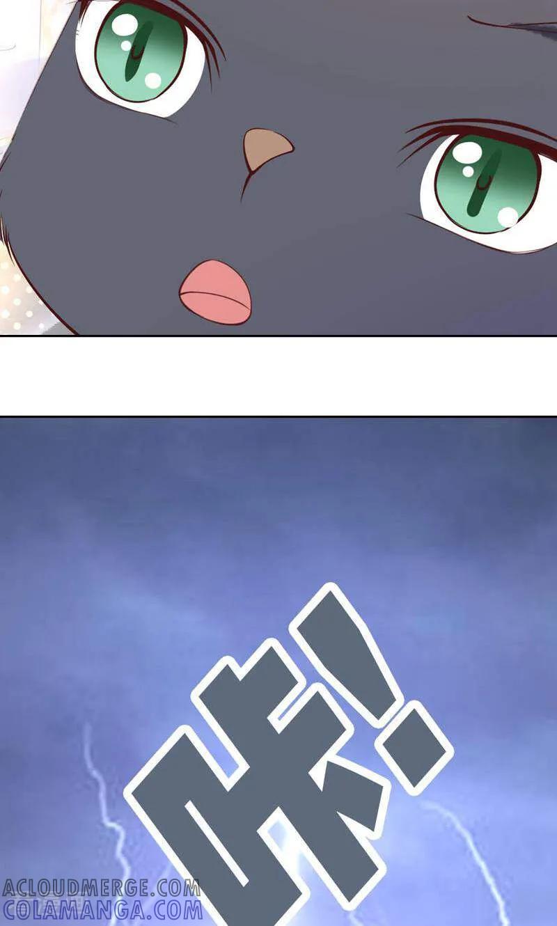 第84话-以猫的名义爱上你-咪咕数媒（第25张）
