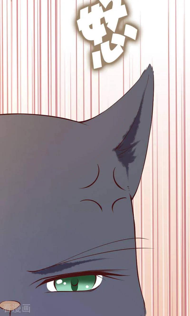 第84话-以猫的名义爱上你-咪咕数媒（第10张）