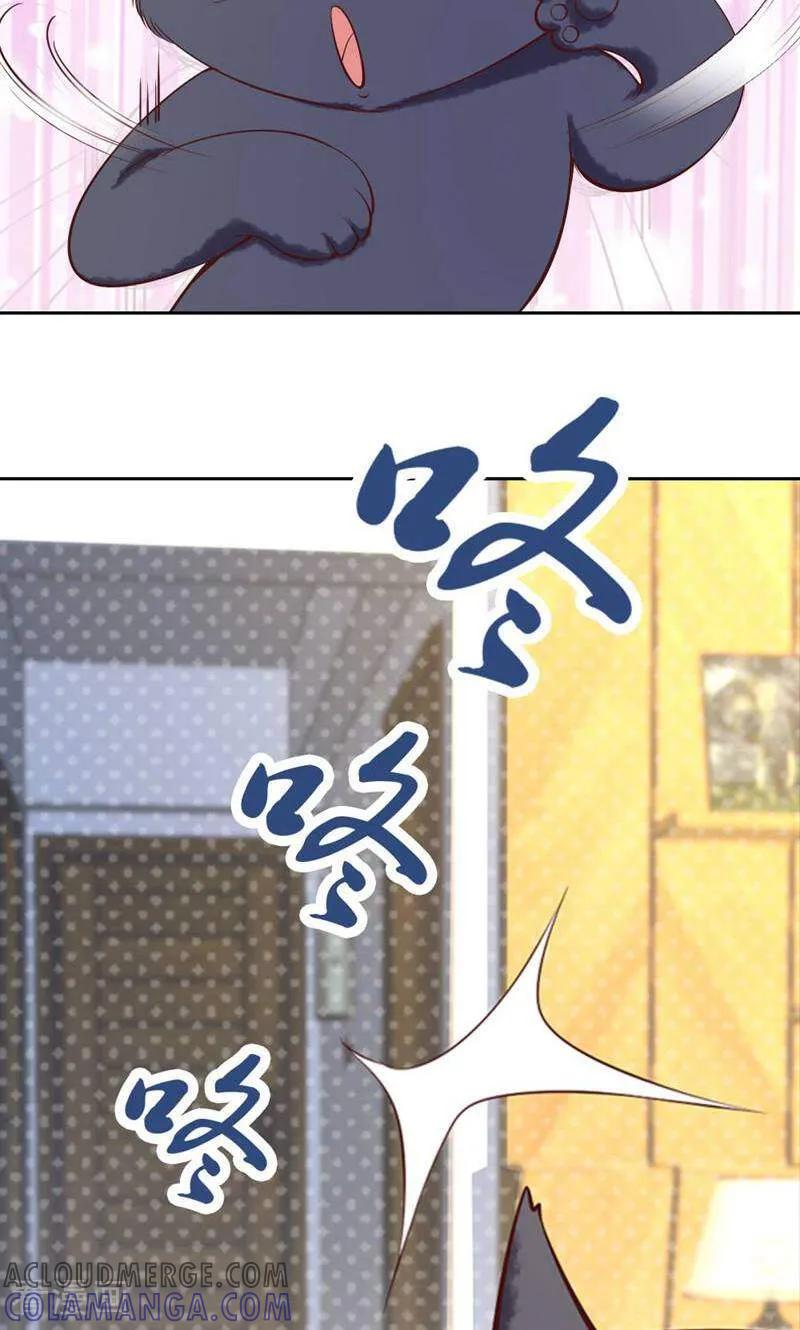 第84话-以猫的名义爱上你-咪咕数媒（第7张）