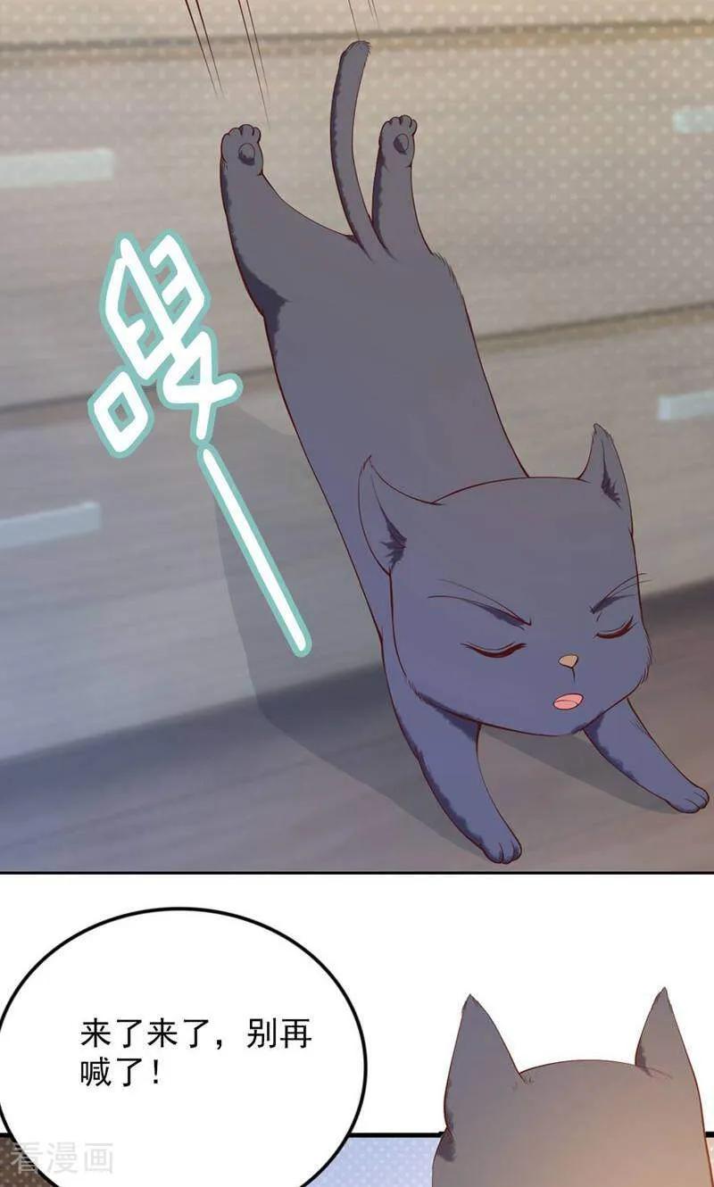 第84话-以猫的名义爱上你-咪咕数媒（第12张）