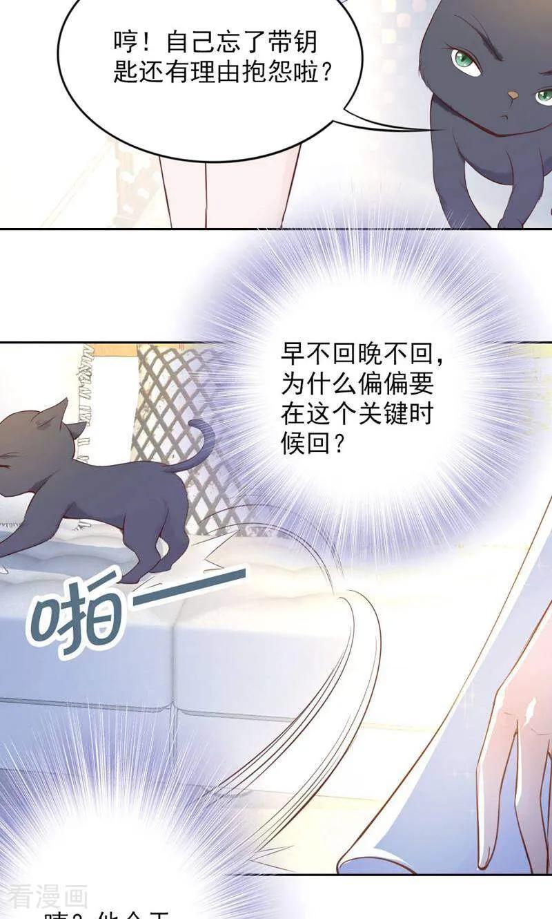 第84话-以猫的名义爱上你-咪咕数媒（第16张）