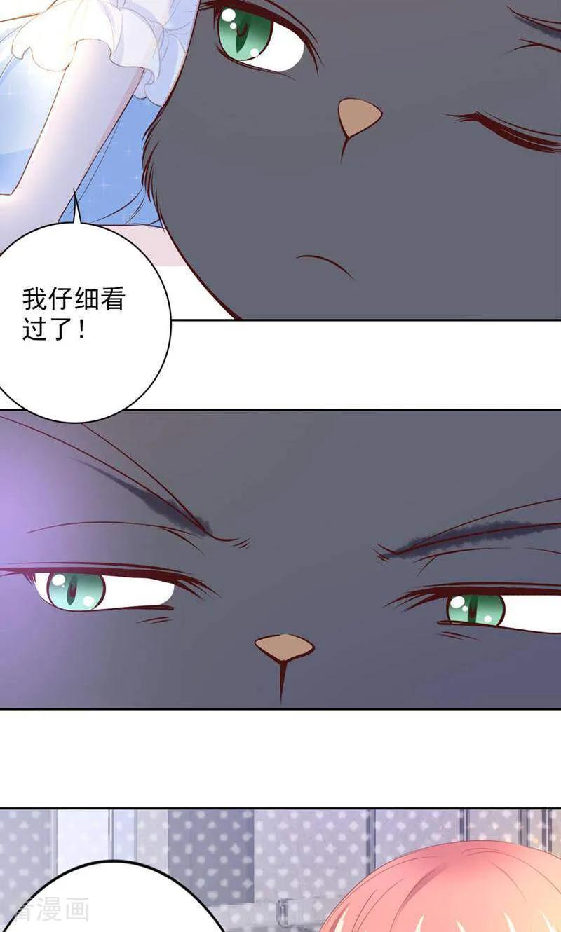 第84话-以猫的名义爱上你-咪咕数媒（第22张）