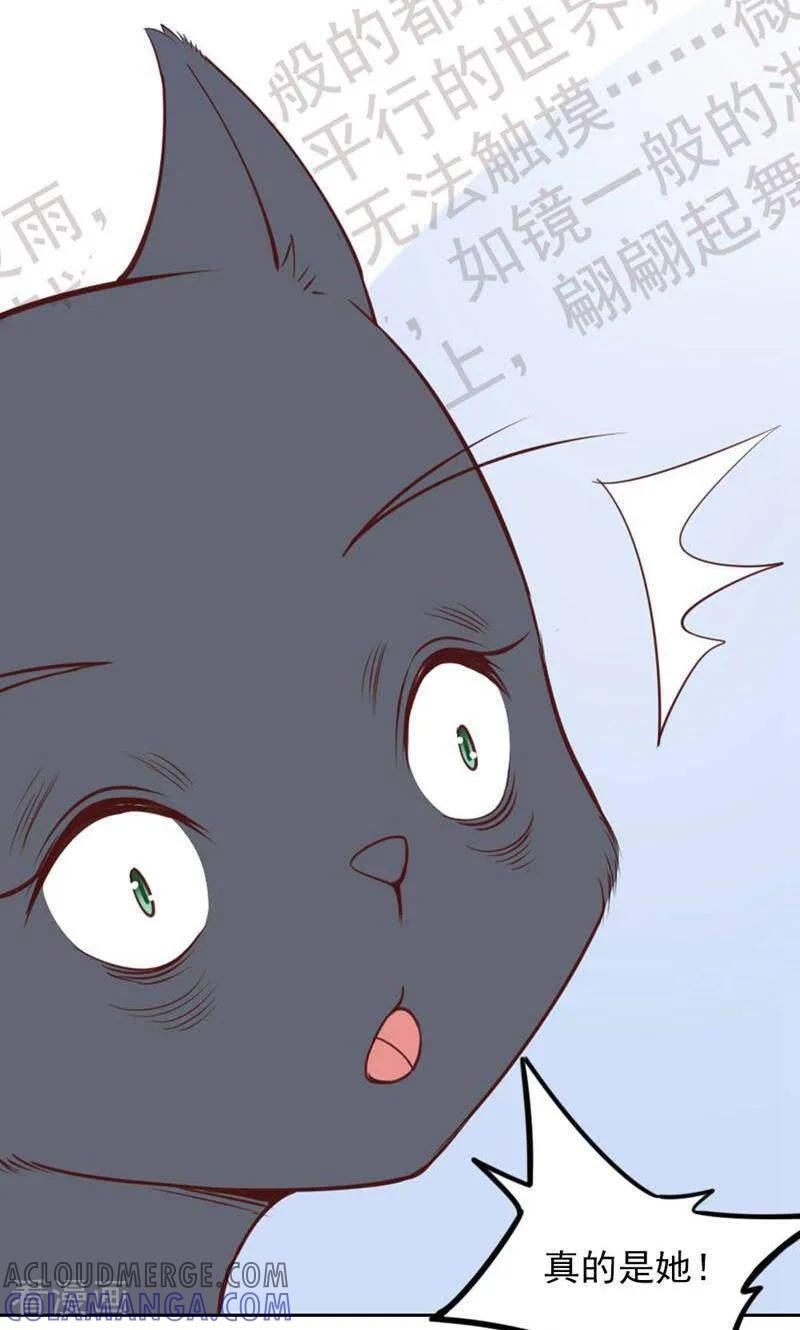 第84话-以猫的名义爱上你-咪咕数媒（第35张）