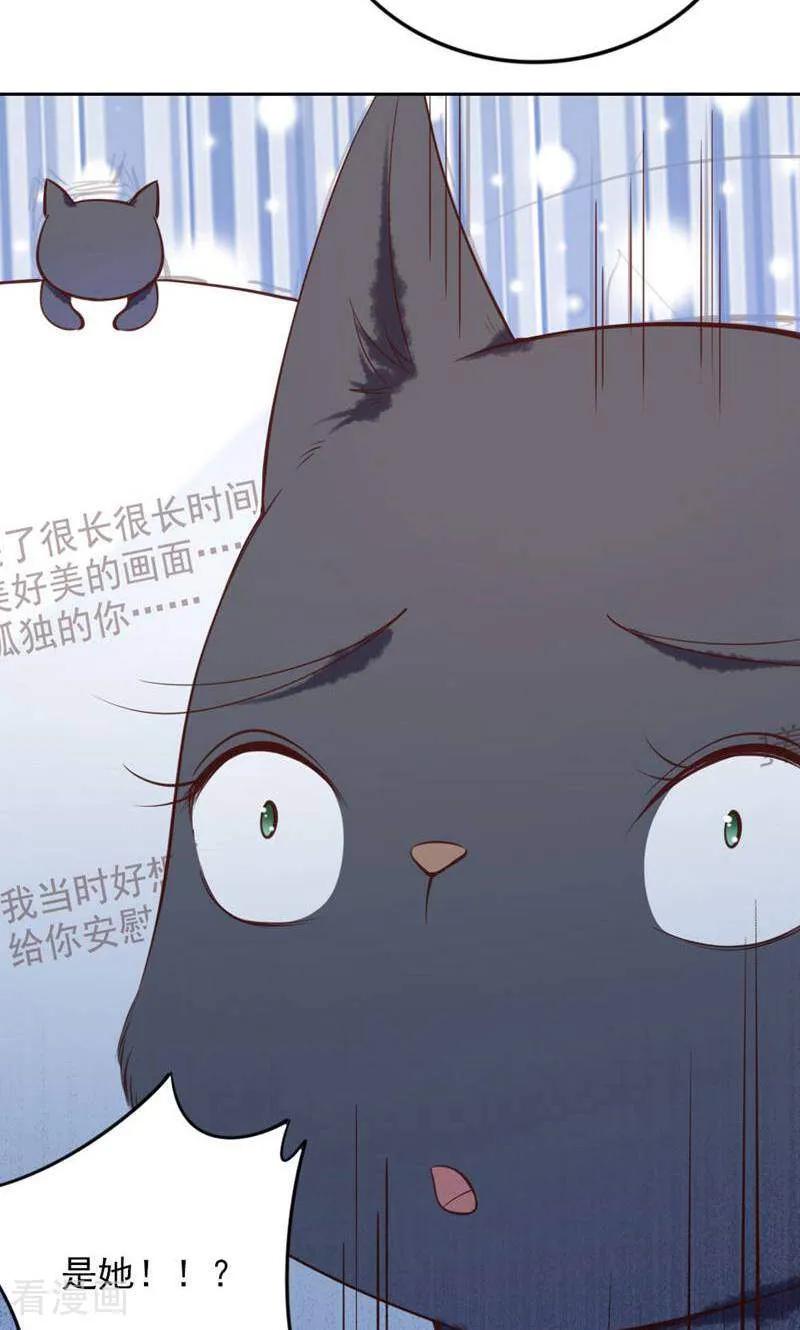 第85话-以猫的名义爱上你-咪咕数媒（第4张）
