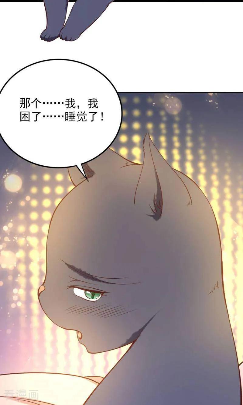 第85话-以猫的名义爱上你-咪咕数媒（第12张）