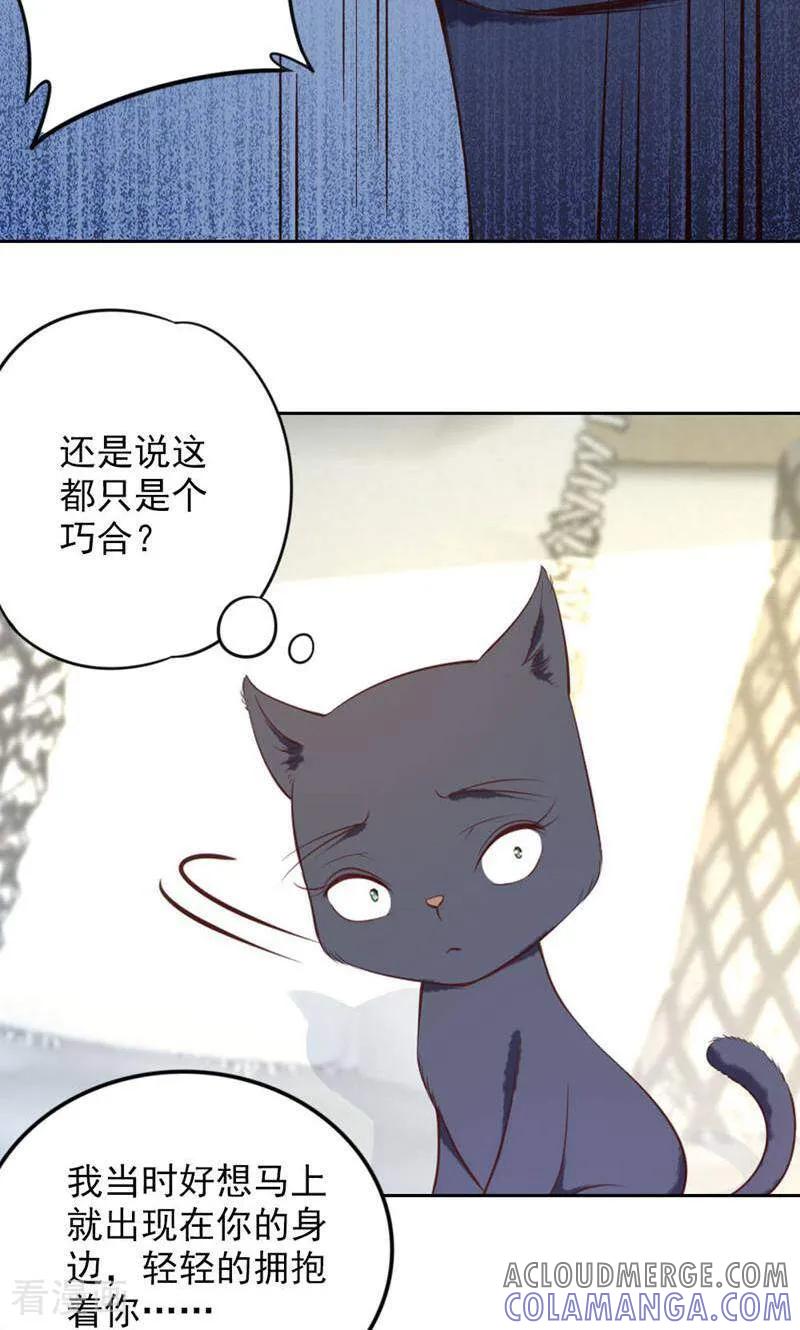 第85话-以猫的名义爱上你-咪咕数媒（第5张）