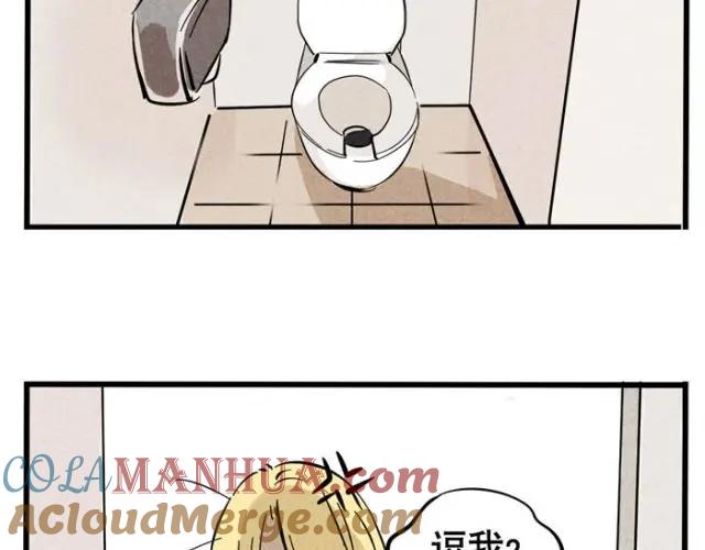 46.jpg