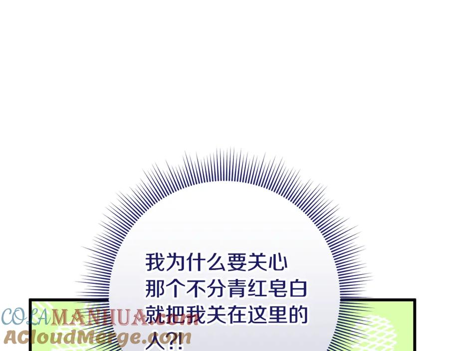113.jpg