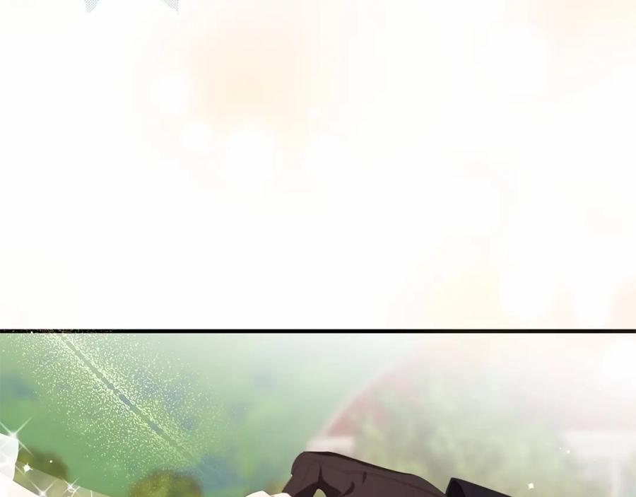 144.jpg