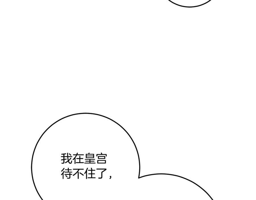 154.jpg