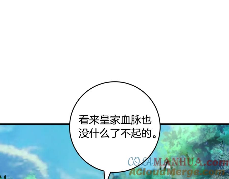 141.jpg