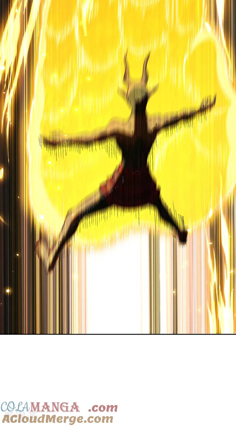 31.jpg