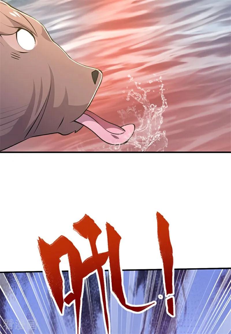 26.jpg