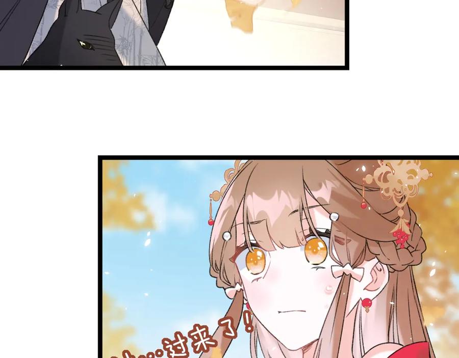 80.jpg