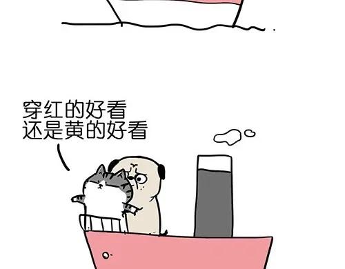 43.jpg