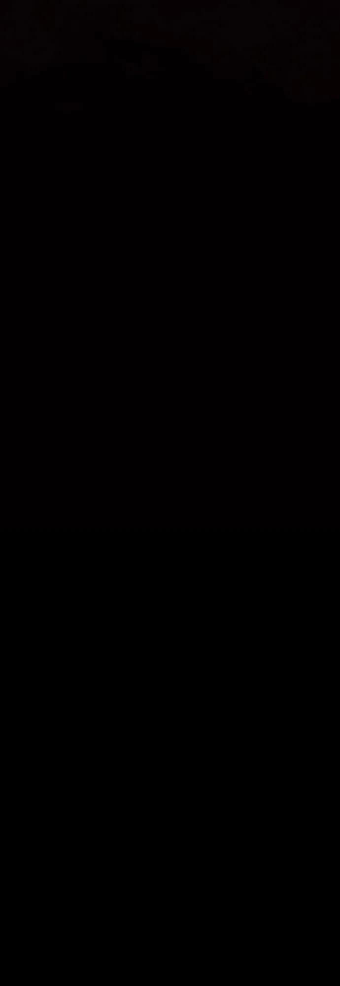 100.jpg