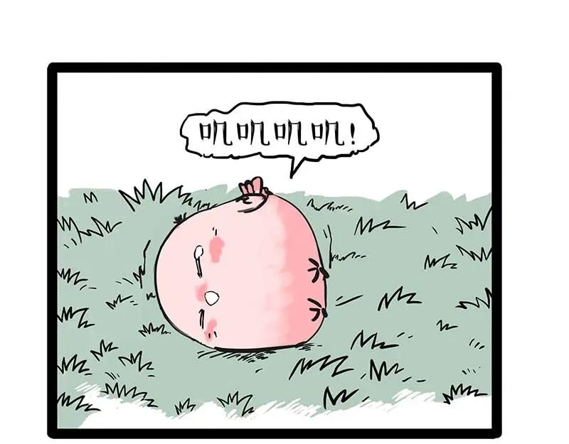 14.jpg