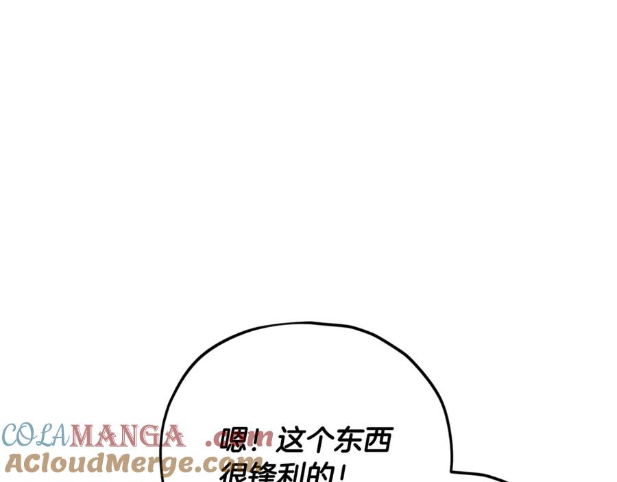 137.jpg