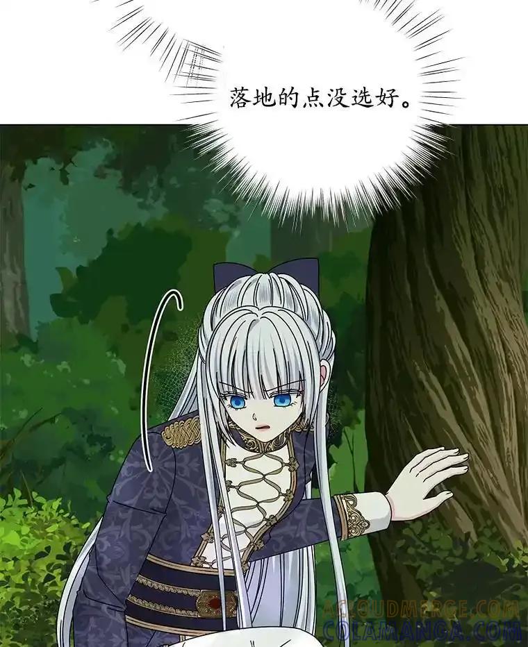 81.jpg