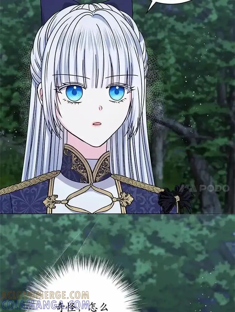 113.jpg