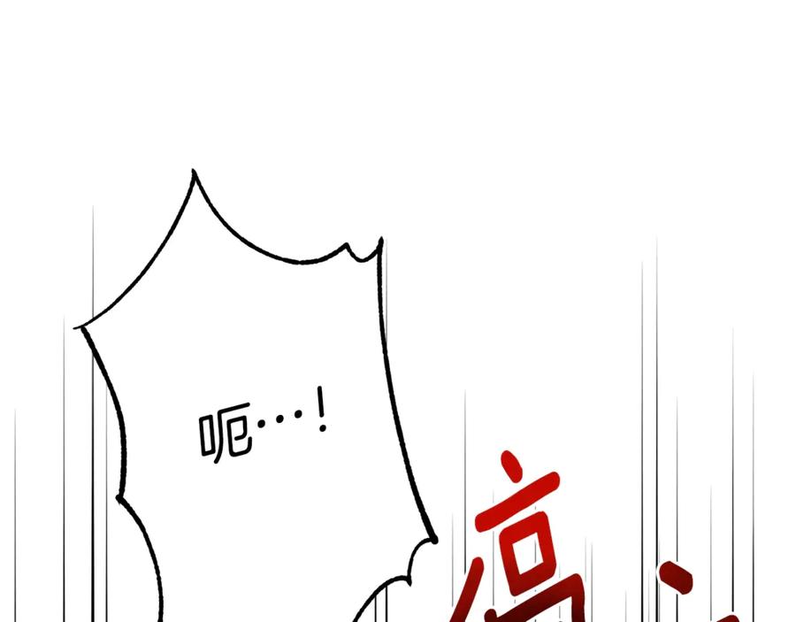 196.jpg