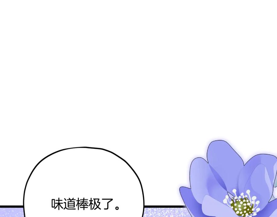 211.jpg