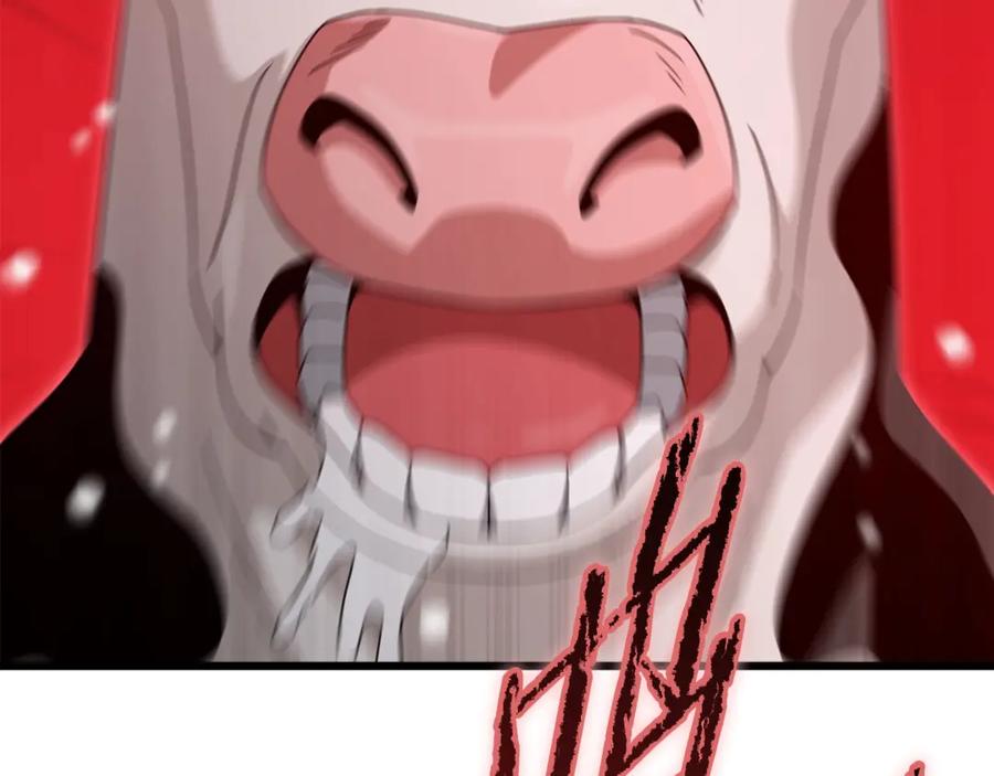 148.jpg