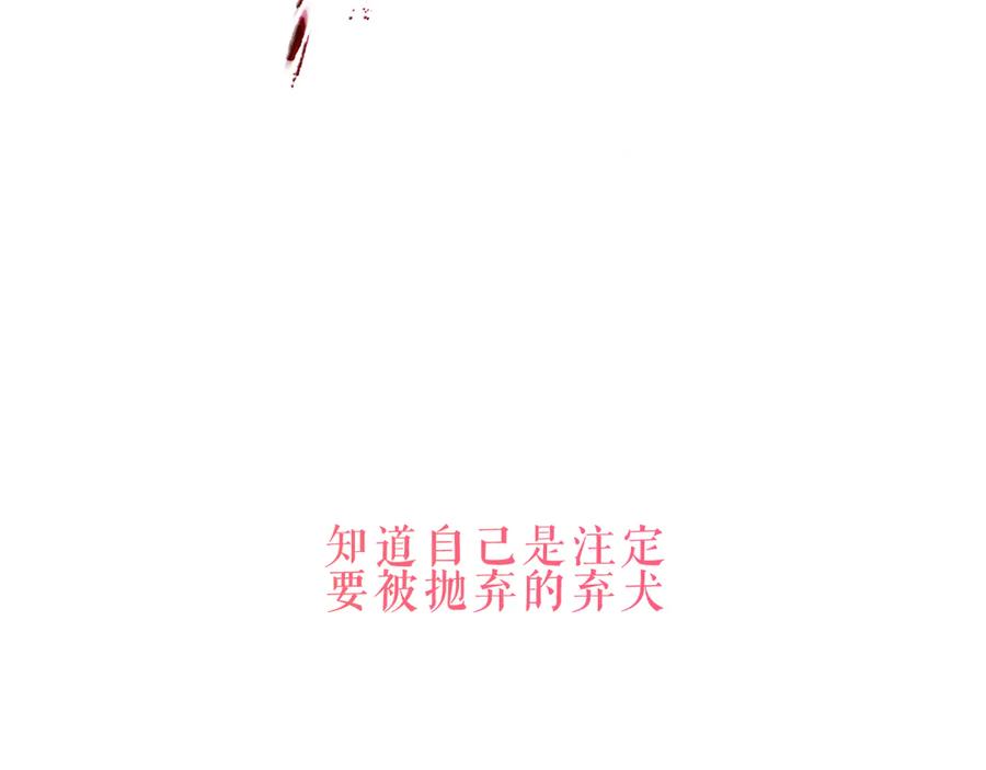 146.jpg