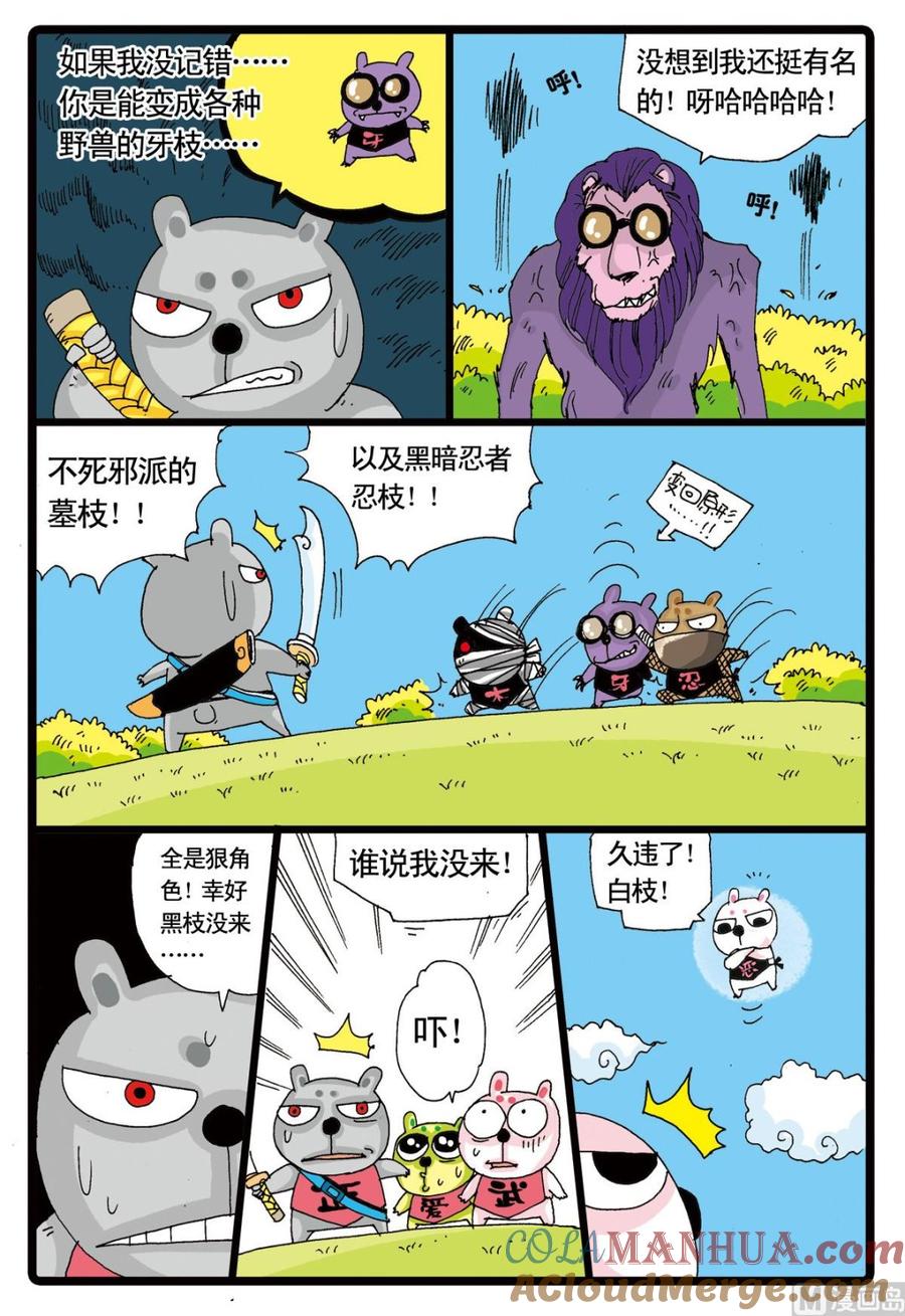 19.jpg