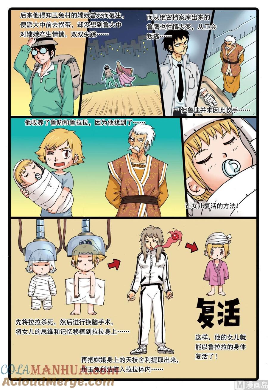 13.jpg
