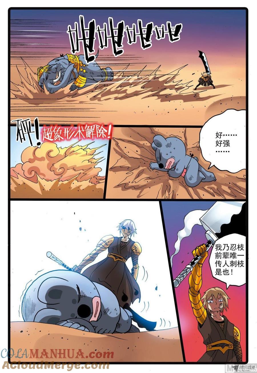 19.jpg