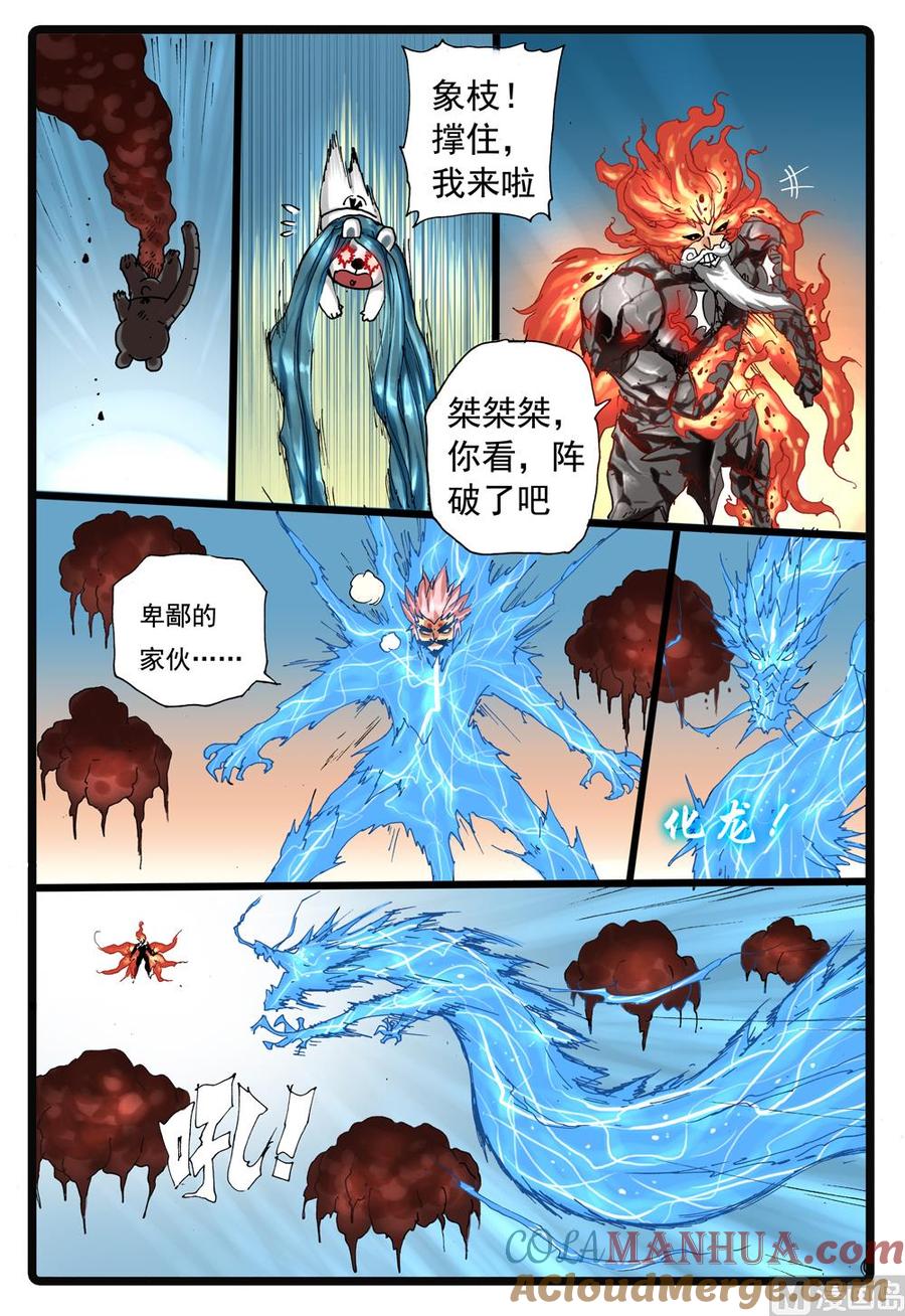6.jpg
