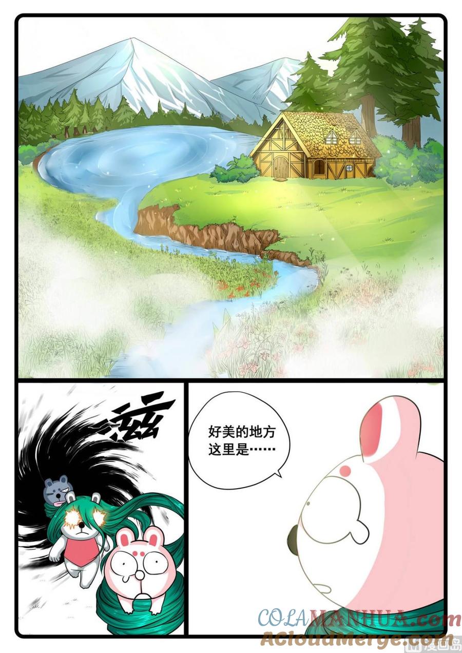 11.jpg