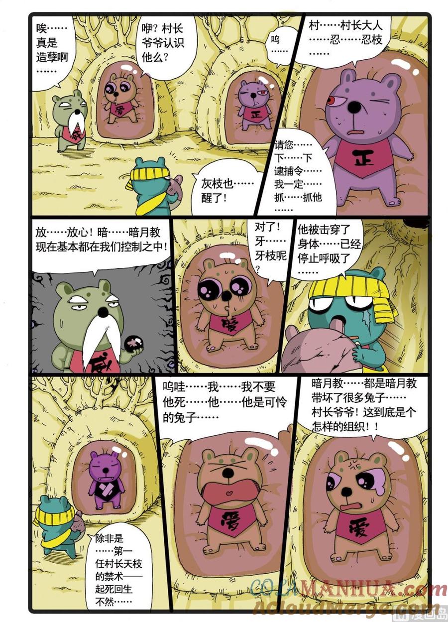 15.jpg