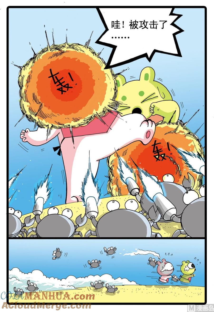 5.jpg