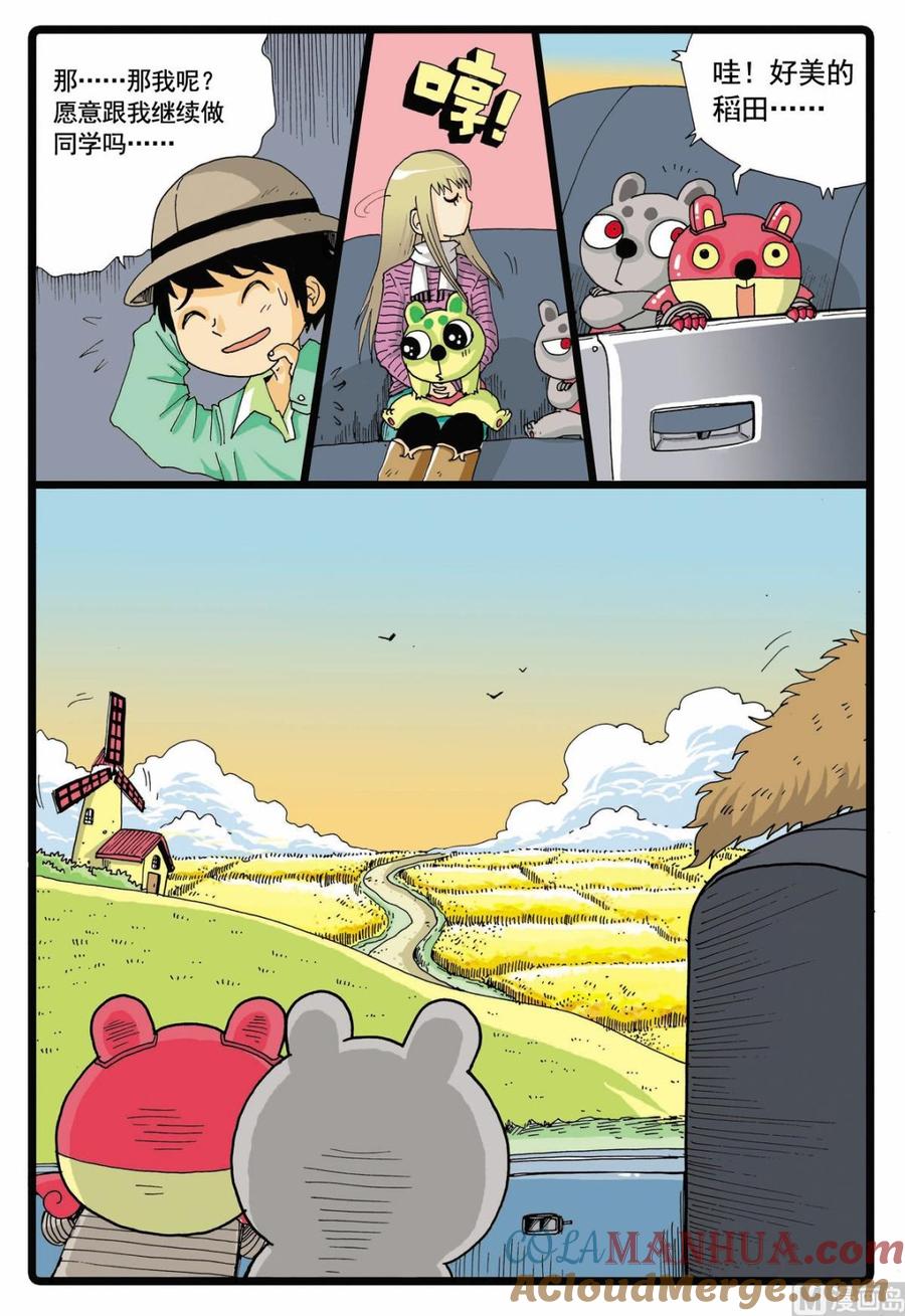 5.jpg