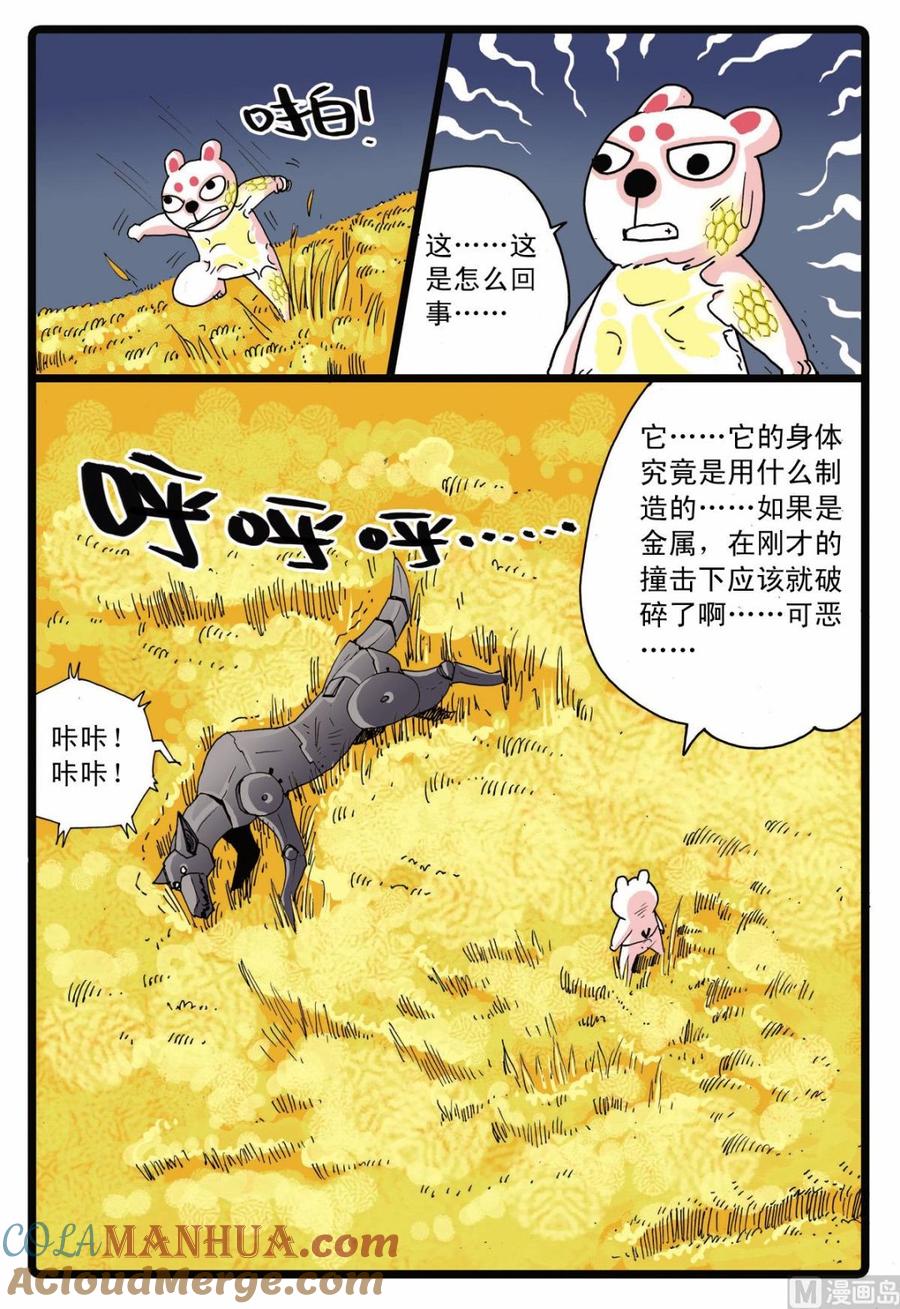11.jpg