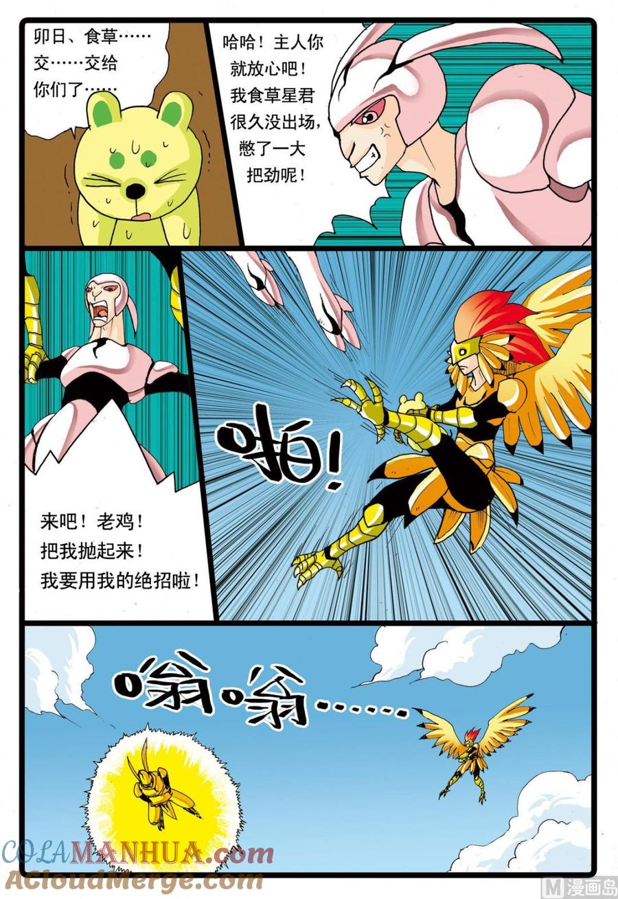 11.jpg