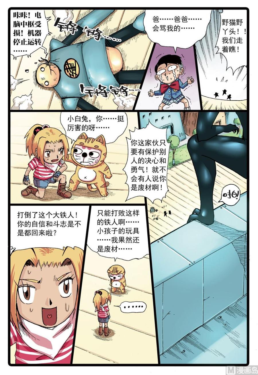 8.jpg