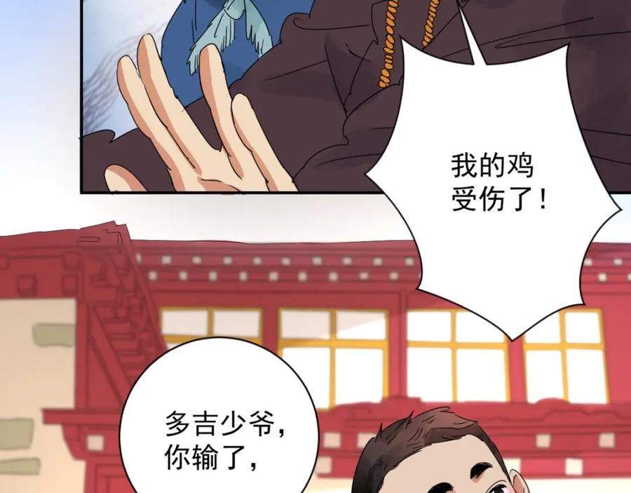 第3话斗鸡（三）-雪山·草地·传说少年登巴的故事-大行道动漫（第5张）