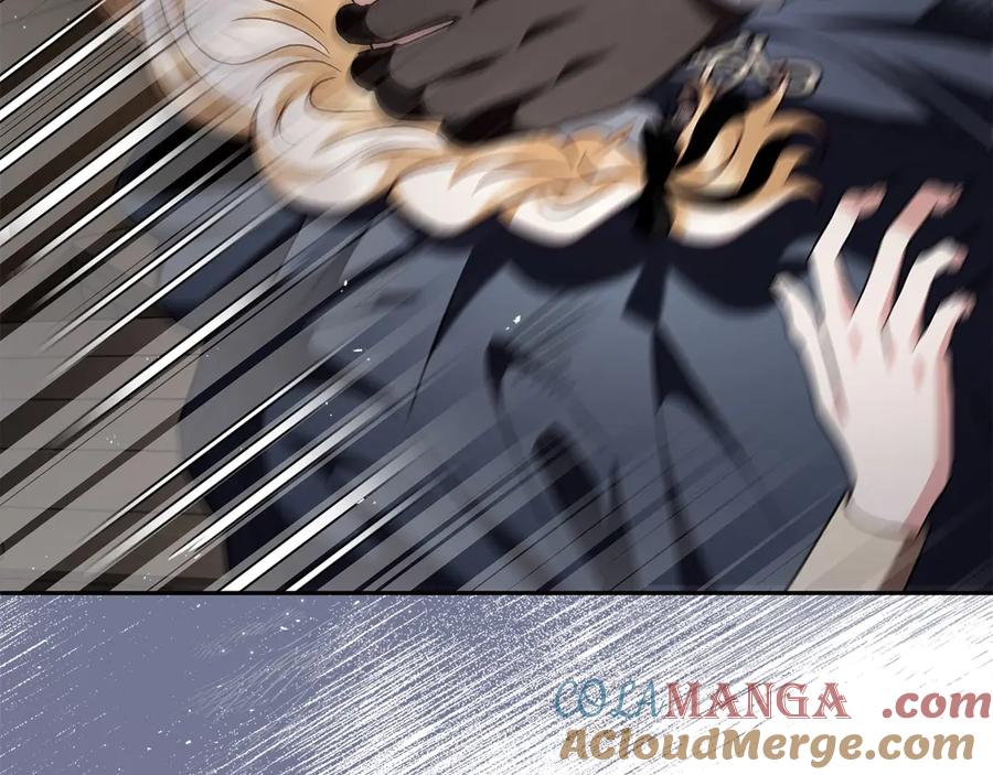 221.jpg