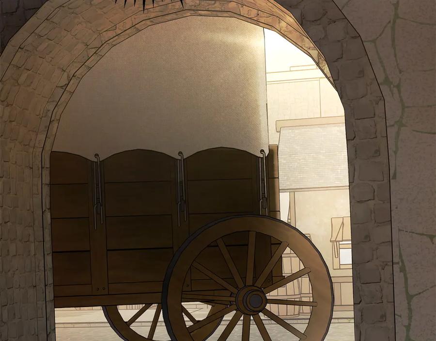 146.jpg