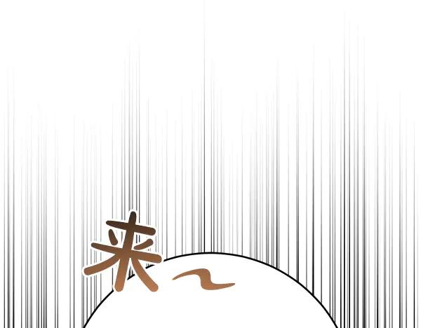 211.jpg